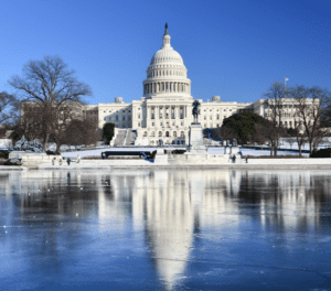 Mid-Term Elections for the 118th Congress