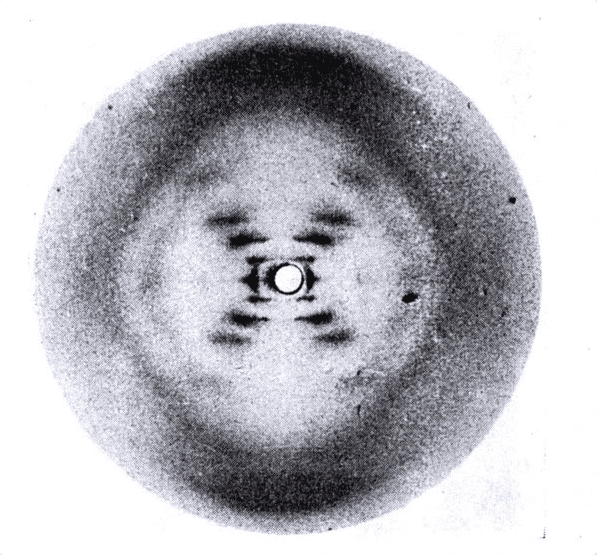 Photo 51, by Rosalind Franklin