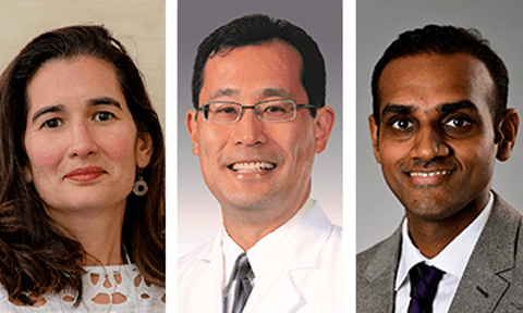 Arvind Kothandaraman, MBS; Joseph Shen, MD, PhD; Nara Sobreira, MD, PhD